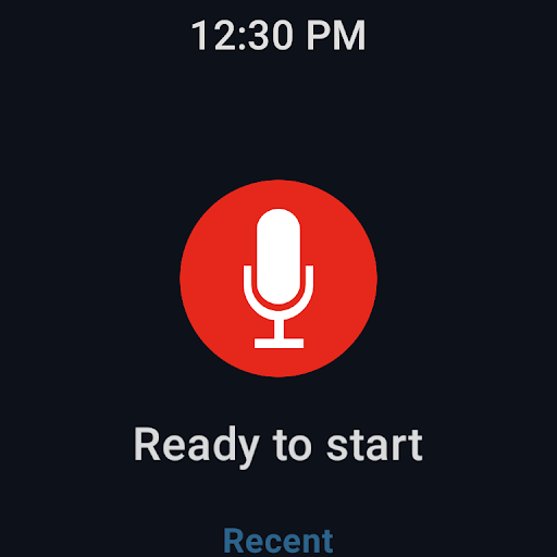 Easy Voice Recorder Pro screenshot