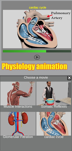3D Anatomy screenshot