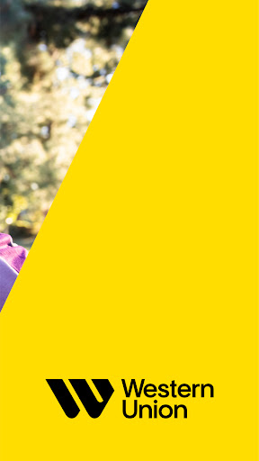 Western Union Send Money Now screenshot