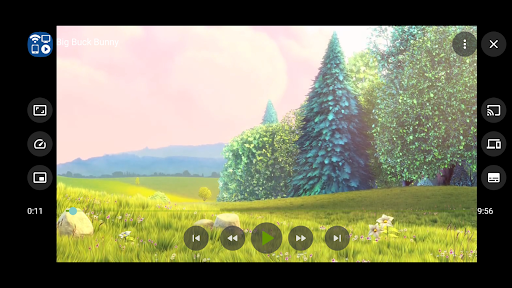 Cast to TV+ Chromecast Roku TV screenshot