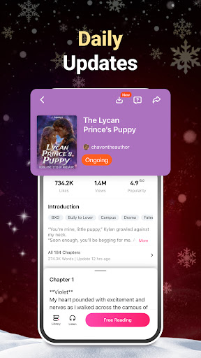 NovelFlow screenshot