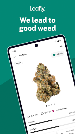 Leafly: Find Cannabis and CBD screenshot