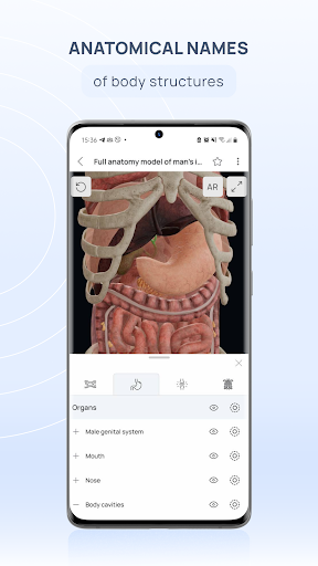 VOKA 3D Anatomy and Physiology screenshot