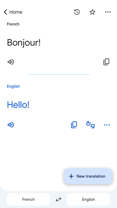 Google Translate screenshot