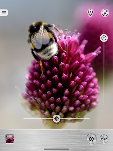 Magnifier Plus with Flashlight screenshot