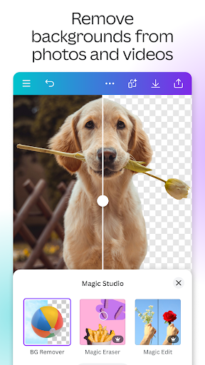 Canva: AI Photo & Video Editor screenshot