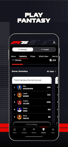 Formula 1® screenshot