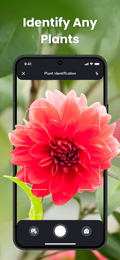 PlantIn Plant Identifier, Care screenshot