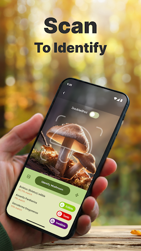 Mushroom Identification screenshot