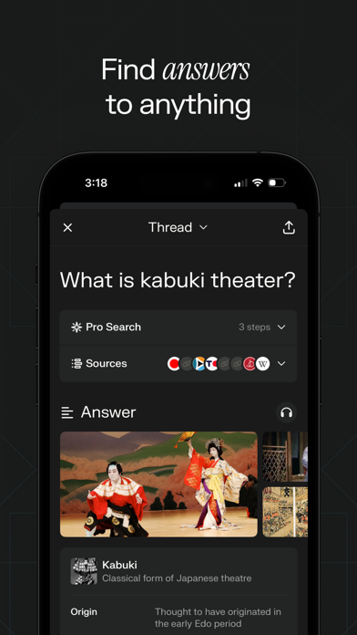 Perplexity - Ask Anything screenshot