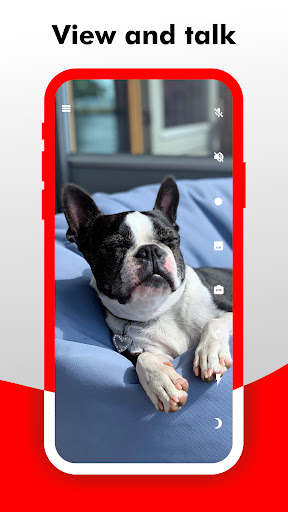 Camy — Live Video CCTV screenshot