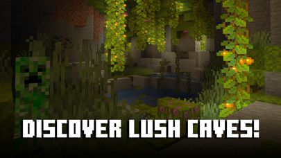 Minecraft: Play with Friends screenshot