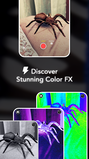 ARSpiders.com: Spider on Face screenshot