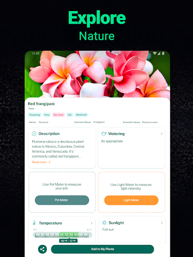Plantum - Plant Identifier screenshot