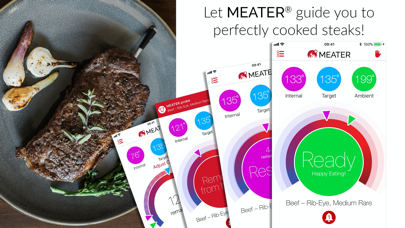 MEATER® Smart Meat Thermometer screenshot