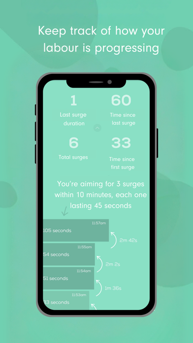 Freya - Surge Timer screenshot