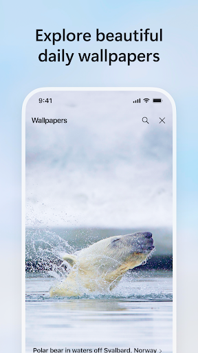 Microsoft Bing Search screenshot