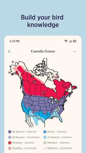 Audubon Bird Guide screenshot