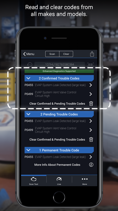BlueDriver OBD2 Scan Tool screenshot