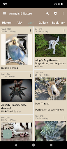 Read Chan (Paid), 4chan Reader screenshot