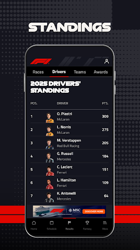 Formula 1® screenshot