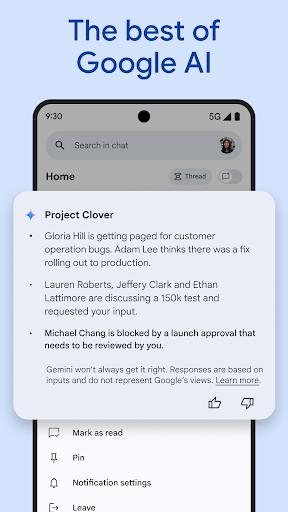 Google Chat screenshot