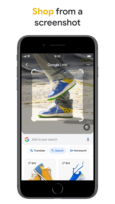 Google Lens screenshot