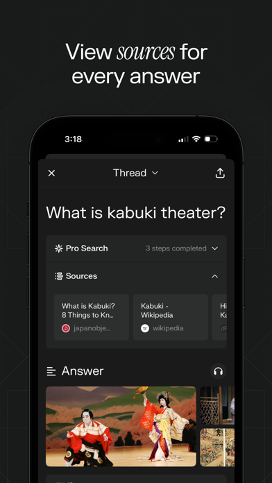 Perplexity - Ask Anything screenshot