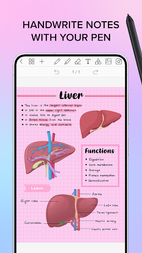 Penly: Digital Planner & Notes screenshot