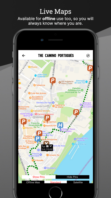 Wise Pilgrim Camino Portugués screenshot