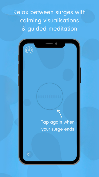 Freya - Surge Timer screenshot