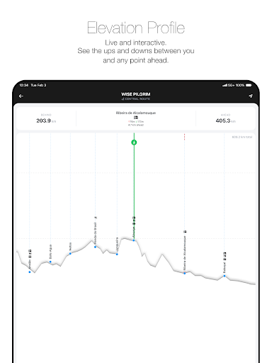 Wise Pilgrim Camino Portugués screenshot