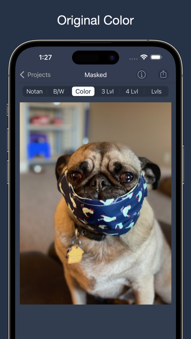 NotanIzer screenshot