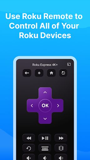 Castly -Roku, Chromecast,DLNA screenshot