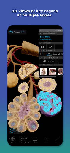 Human Anatomy Atlas 2025 screenshot