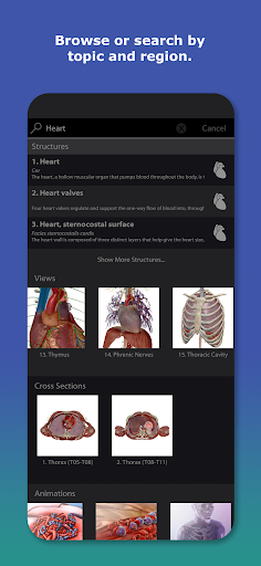 Human Anatomy Atlas 2025 screenshot