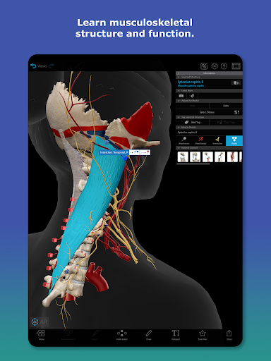 Human Anatomy Atlas 2025 screenshot