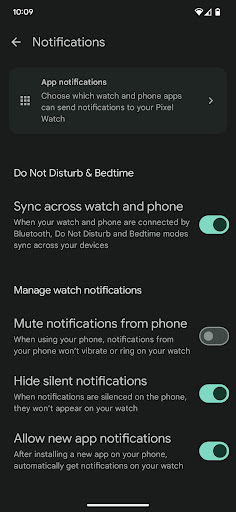 Google Pixel Watch screenshot