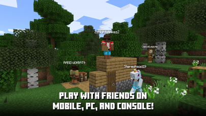 Minecraft: Play with Friends screenshot