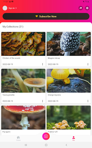 Picture Mushroom - Mushroom ID screenshot