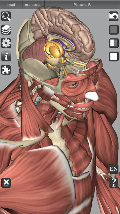3D Anatomy screenshot