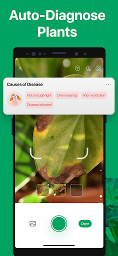 PictureThis - Plant Identifier screenshot