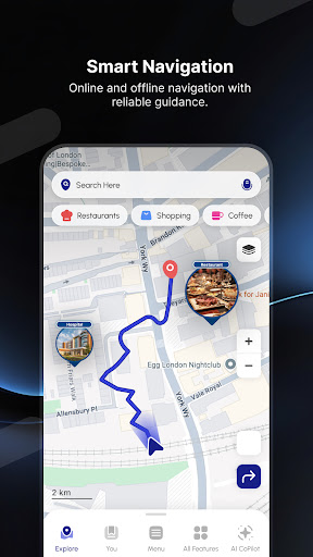 Radar GO-X: HUD, GPS, Maps screenshot