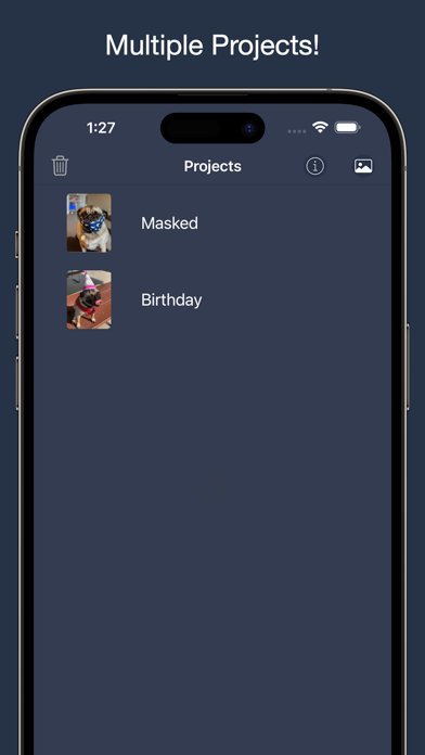 NotanIzer screenshot