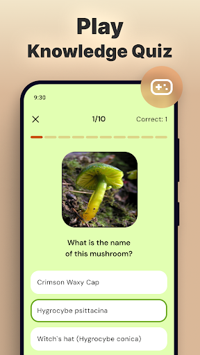 Mushroom Identification screenshot