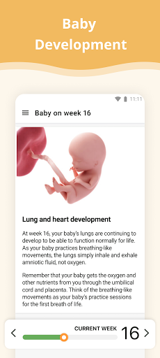 Pregnancy App screenshot