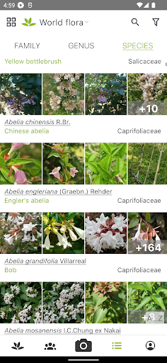 PlantNet Plant Identification screenshot