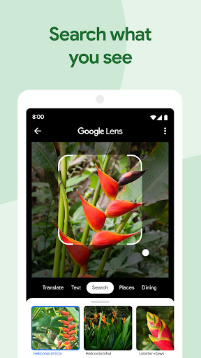 Google Photos screenshot
