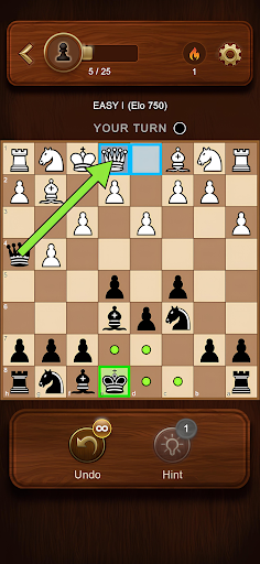 Chess Master: Board Game screenshot