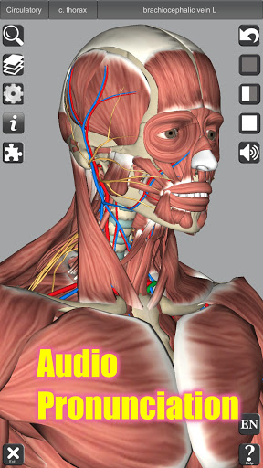 3D Anatomy screenshot
